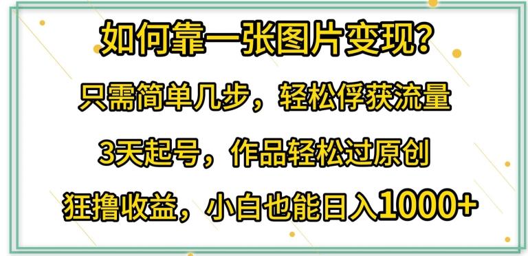 如何靠一张图片变现?只需简单几步，轻松俘获流量，3天起号，作品轻松过原创【揭秘】-天使资源网