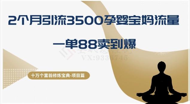 十万个富翁修炼宝典之13.2个月引流3500孕婴宝妈流量，一单88卖到爆-天使资源网