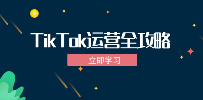 TikTok实战运营全攻略：从下载软件到变现，抖音海外版实操教程-天使资源网