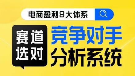 电商盈利8大体系·赛道选对，​竞争对手分析系统线上课-天使资源网