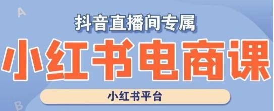 小红书电商高级运营课程，实操教学+案例分析-天使资源网