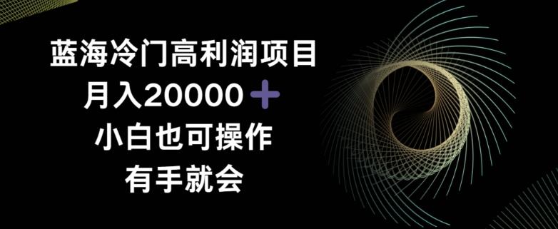 蓝海冷门高利润项目月入2000，小白也可操作有手就会-天使资源网
