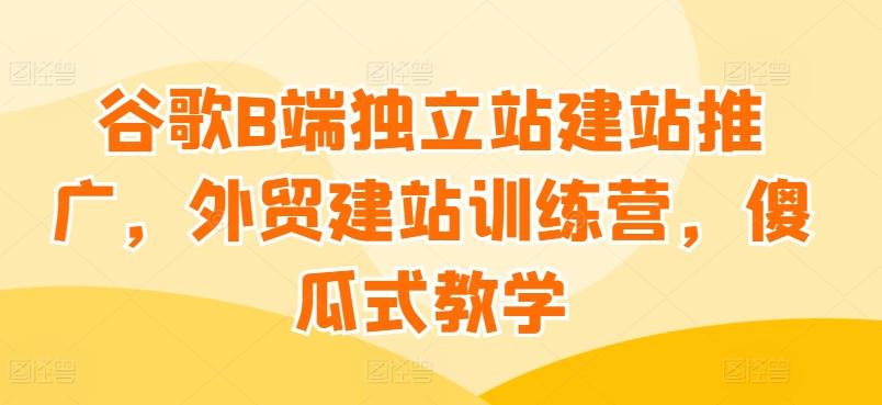 谷歌B端独立站建站推广，外贸建站训练营，傻瓜式教学-天使资源网