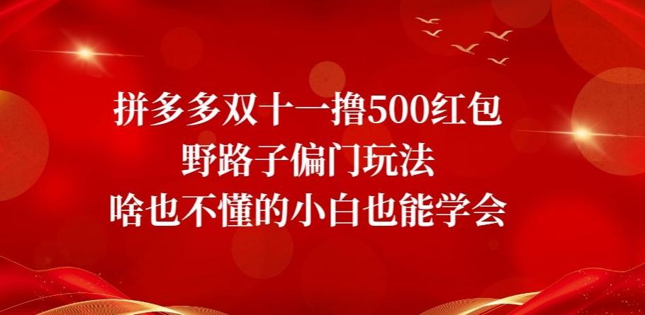 拼多多双十一撸500红包野路子偏门玩法，啥也不懂的小白也能学会【揭秘】-天使资源网