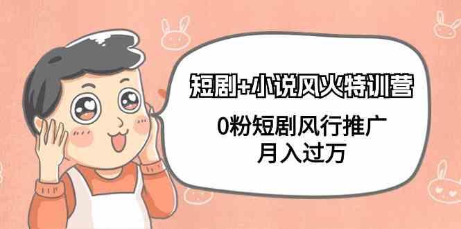 小说+短剧风火特训营，0粉短剧小说风行推广，实现月入过万-天使资源网